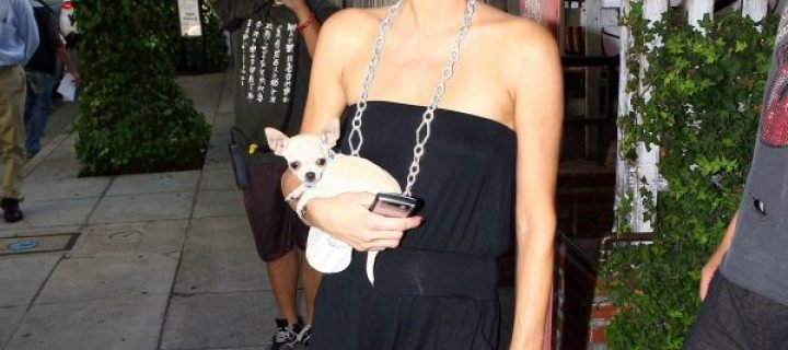 Paris Hilton con i collant neri